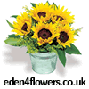 Eden4flowers.co.uk